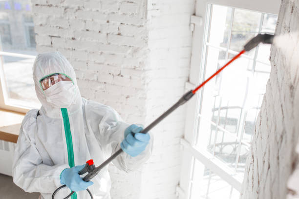 Best Forensic Mold Investigation  in Lillian, AL